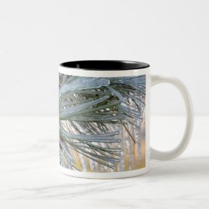 Caneca De Café Em Dois Tons Agulhas de pinheiro ponderosa são