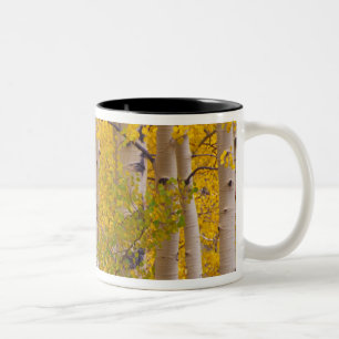 Caneca De Café Em Dois Tons Álamos de outono em Kebler Pass no Colorado.