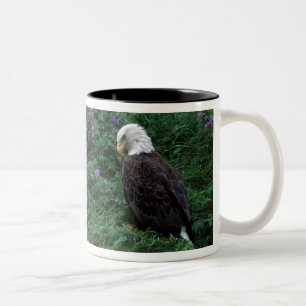 Caneca De Café Em Dois Tons Alasca, Ilha Unalaska Águia-careca entre Nootka