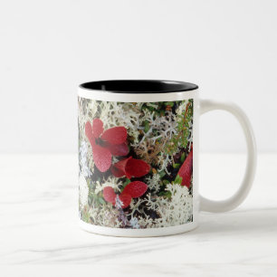Caneca De Café Em Dois Tons Alasca, Parque Nacional Denali, a tundra ártica é