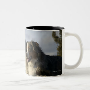 Caneca De Café Em Dois Tons Alberta, Canadá 2