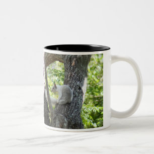 Caneca De Café Em Dois Tons Albino Squirrel Mug