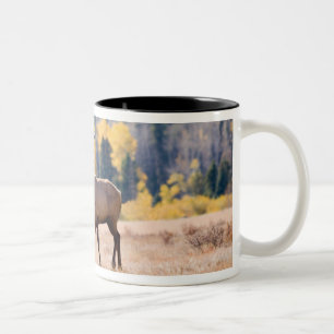 Caneca De Café Em Dois Tons Alce no Parque Nacional das Montanhas Rochosas, Co