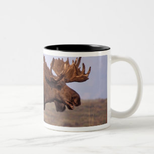 Caneca De Café Em Dois Tons alces, alces do Alces, touro com grandes antlers