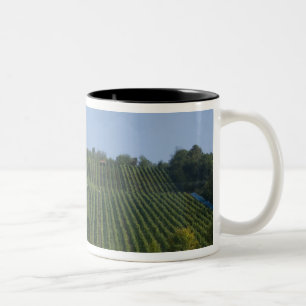 Caneca De Café Em Dois Tons Alemanha, Francônia, Rothenburg. Vista ao longo da