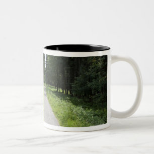 Caneca De Café Em Dois Tons Alemanha, Thuringia, trajeto na floresta