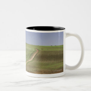 Caneca De Café Em Dois Tons Aloés de florescência perto de Caledon, cabo