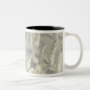 Caneca De Café Em Dois Tons Alpino Skier em espessos fantasmas de neve no Big