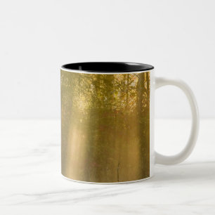 Caneca De Café Em Dois Tons Amanhecer Nebuloso em Tamarac NWR perto de Detroit