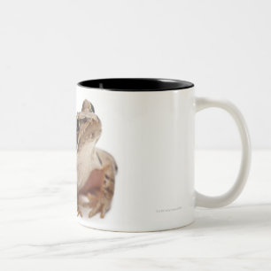 Caneca De Café Em Dois Tons Amarre o sapo - arvalis de Rana