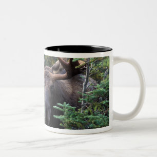 Caneca De Café Em Dois Tons América do Norte, Canadá, Nova Escócia, Cabo Breto