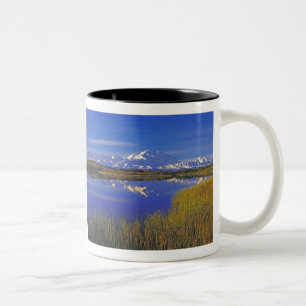 Caneca De Café Em Dois Tons América do Norte, EUA, Alasca, Denali NP,