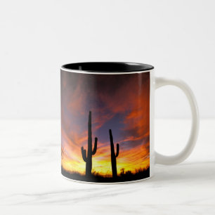 Caneca De Café Em Dois Tons América do Norte, EUA, Arizona, Deserto de Sonora.