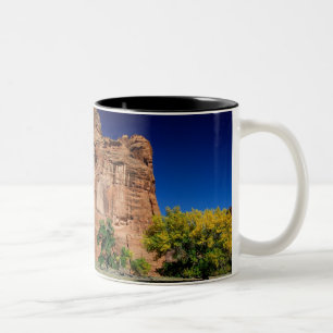 Caneca De Café Em Dois Tons América do Norte, EUA, Arizona, Navajo Indiano 3
