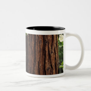 Caneca De Café Em Dois Tons América do Norte, EUA, Califórnia, Yosemite 3