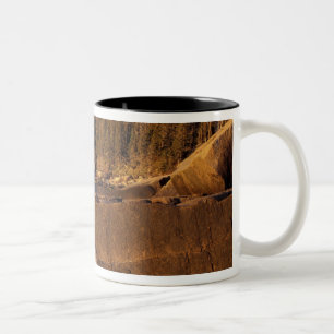 Caneca De Café Em Dois Tons América do Norte, EUA, ME, A costa rochosa do Main