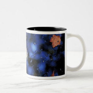 Caneca De Café Em Dois Tons América do Norte, EUA, NH, Folhas em uma lagoa pró