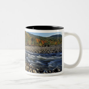 Caneca De Café Em Dois Tons América do Norte, EUA, NH, Uma praia de seixos na