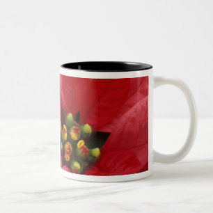 Caneca De Café Em Dois Tons América do Norte, EUA, WA, Woodinville, Vermelho 