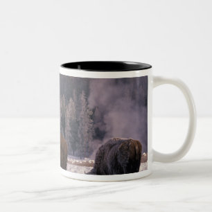 Caneca De Café Em Dois Tons América do Norte, EUA, Wyoming, Yellowstone NP,