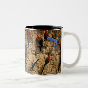 Caneca De Café Em Dois Tons América do Sul, Peru, Parque Nacional Manu,