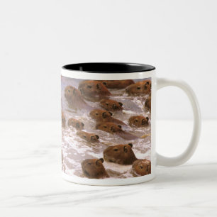 Caneca De Café Em Dois Tons América do Sul, Venezuela, região de Llano.