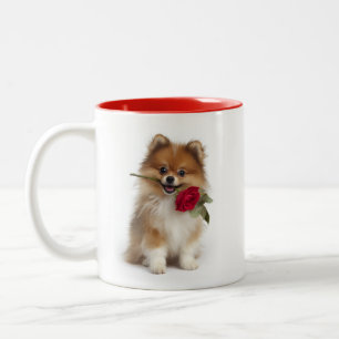 Caneca De Café Em Dois Tons Amor de Pomerânia