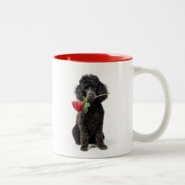 Caneca De Café Em Dois Tons Amor por Poodle