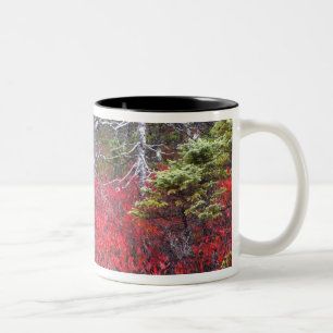 Caneca De Café Em Dois Tons Amoreiras e pinheiros