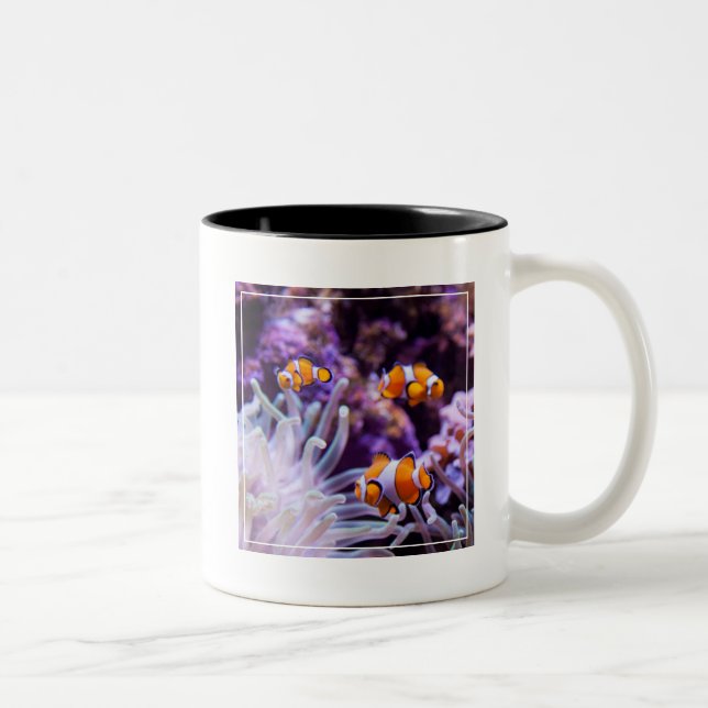 Caneca De Café Em Dois Tons Amphiprion Ocellaris de Ocellaris Clownfish | (Direita)