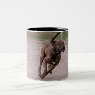 Caneca De Café Em Dois Tons Amstaff em execução