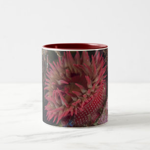 Caneca De Café Em Dois Tons anêmona cor-de-rosa Branco-manchada