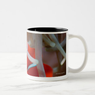 Caneca De Café Em Dois Tons Anemonefish 2 do palhaço