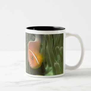 Caneca De Café Em Dois Tons Anemonefish cor-de-rosa na anêmona de mar de