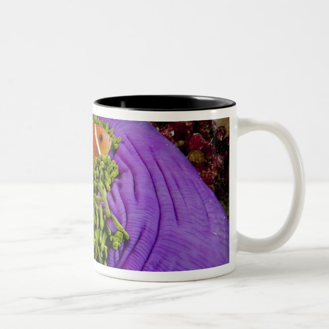 Caneca De Café Em Dois Tons Anemonefish e grande anêmona (Direita)