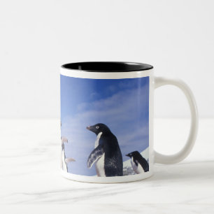 Caneca De Café Em Dois Tons Antártica, Adelie Penguin Pygoscelis