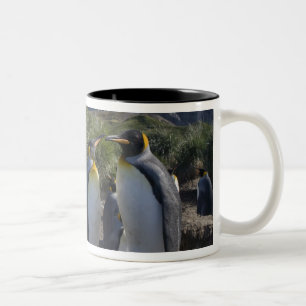 Caneca De Café Em Dois Tons Antártica, Ilha da Geórgia do Sul (Reino Unido), R