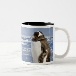 Caneca De Café Em Dois Tons Antártica, Neko Cove (Porto). Pinguim Gentoo
