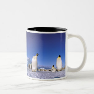 Caneca De Café Em Dois Tons Antártica, Península Antártica, Mar de Weddell, 3