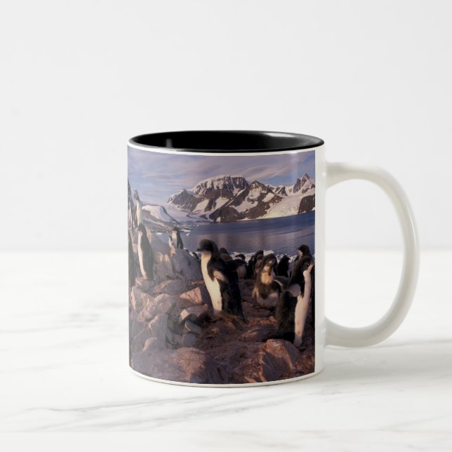 Caneca De Café Em Dois Tons Antártica, pintinhos de pinguins adereços (Direita)