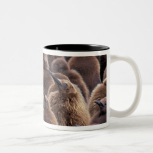 Caneca De Café Em Dois Tons Antártida, Ilha da Geórgia do Sul, pinguins-impera