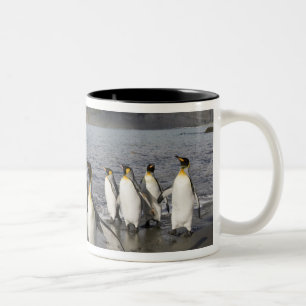 Caneca De Café Em Dois Tons Antártida, Ilha da Geórgia do Sul (Reino Unido), A