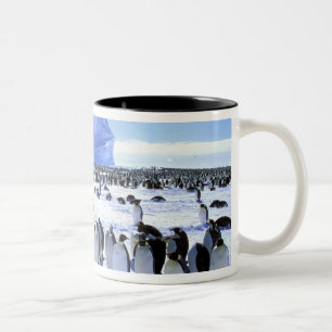 Caneca De Café Em Dois Tons Antártida, Península Antártica, Mar de Weddell, 5
