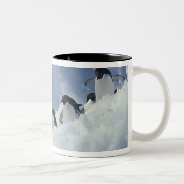 Caneca De Café Em Dois Tons Antártida. Pinguins-de-adélia (Direita)