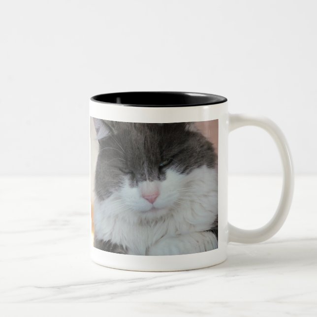 Caneca De Café Em Dois Tons Aprendendo a Lição da Cauda Cat (Direita)