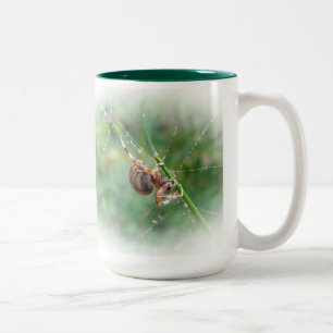 Caneca De Café Em Dois Tons Araneus - Orb Weaver Spider