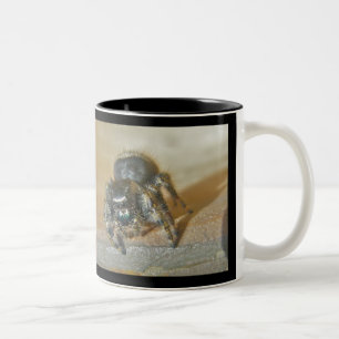 Caneca De Café Em Dois Tons Aranha-Pulga (Phiddipus audax)
