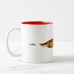 Caneca De Café Em Dois Tons Arapaima Mug | Mug de peixe