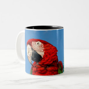 Caneca De Café Em Dois Tons Arara azul e amarela e arara-escarlate