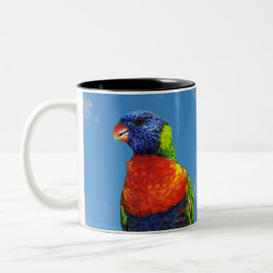 Caneca De Café Em Dois Tons Arco-íris lorique dois poços empoleirados em um ga